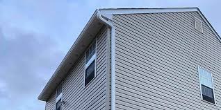 Best Custom Siding Design  in Thonotosassa, FL